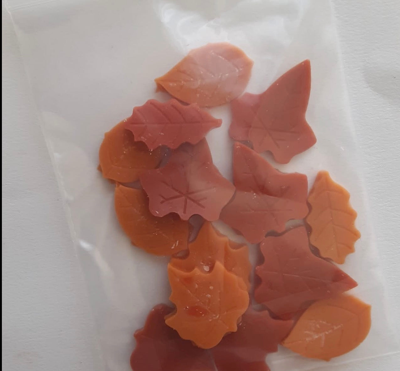 Fall Leaves