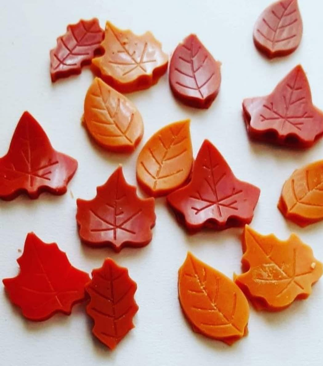 Fall Leaves
