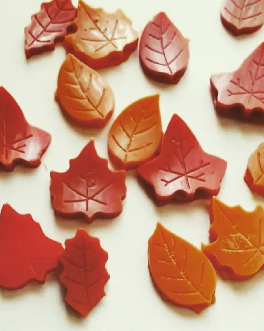 Fall Leaves